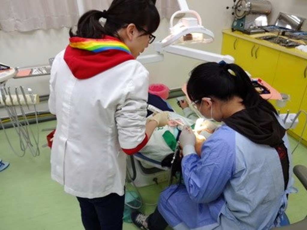 牙科診療情形