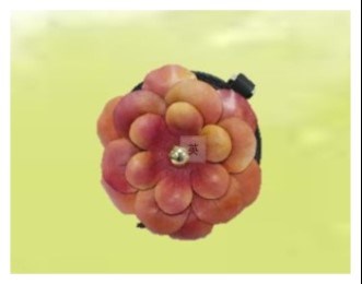 皮件工坊產品-立體花零錢包